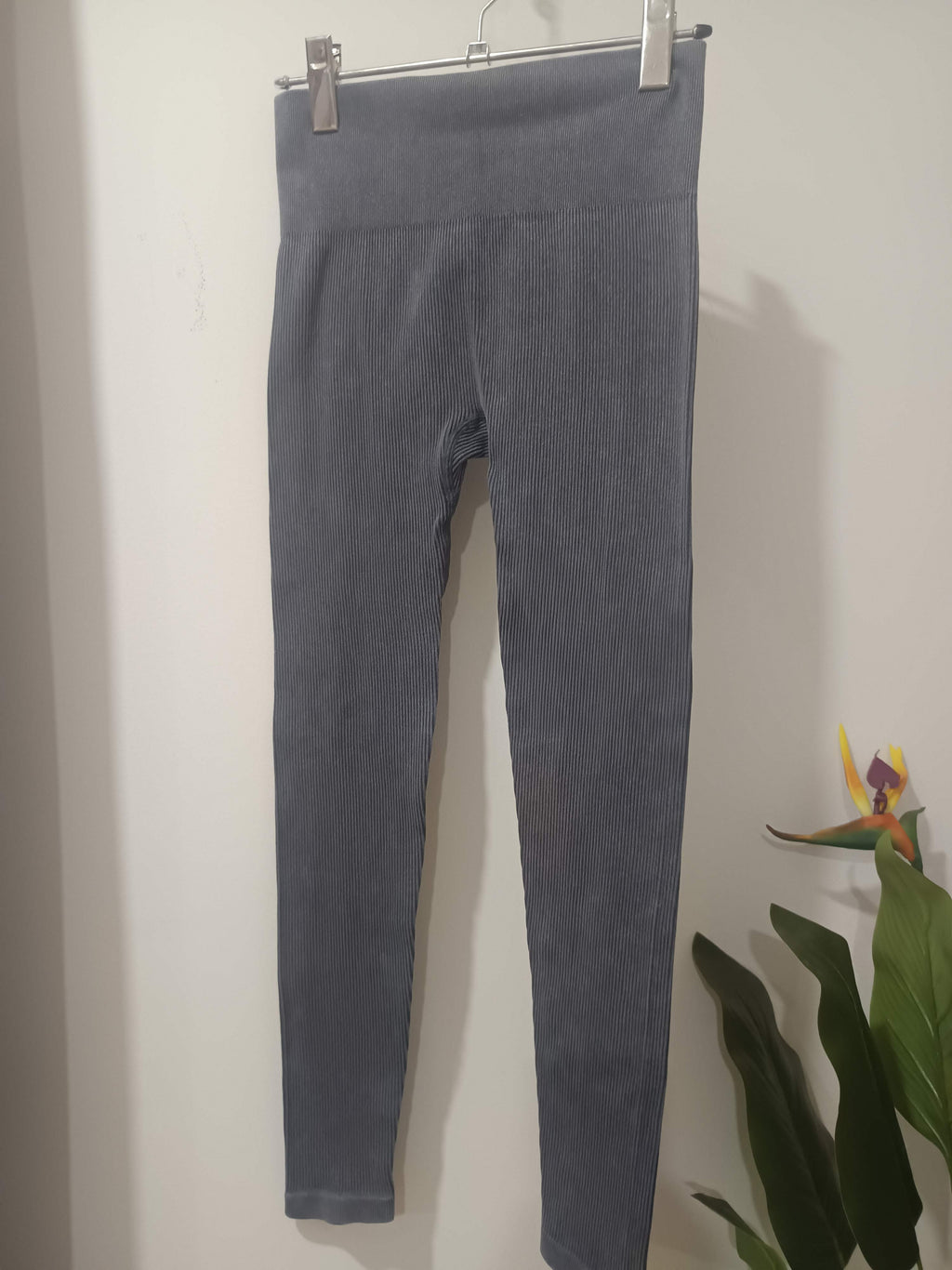 Colani gri nervuri seamless Papaya - față